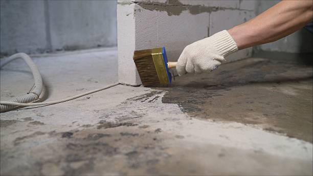 Top rated local Waterproofing specialists in Coats, NC
